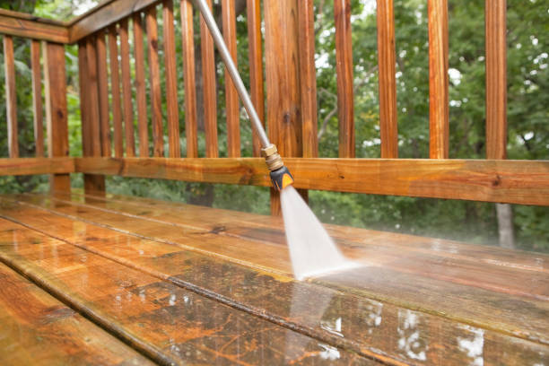 Best Fence Cleaning  in Newton, AL